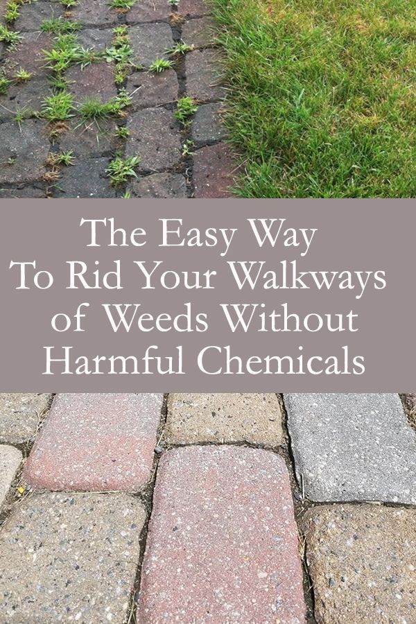 Ridding Your Walkway of Weeds Without Harmful Chemicals