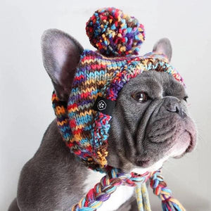 These Dog Winter Clothes Are The Cutest Things We’ve Seen All Year