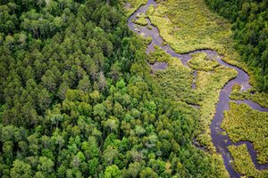 Researching Wisconsin’s great outdoors