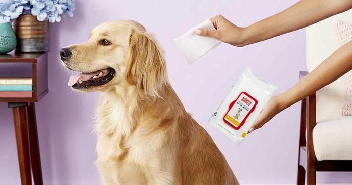 200 Nature’s Miracle Pet Wipes Only $8 Shipped on Amazon ($24 Value)