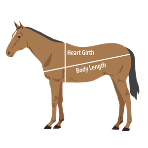 Kentucky Performance Products: How To Weigh Your Horse