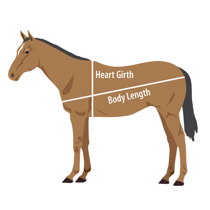 Kentucky Performance Products: How To Weigh Your Horse