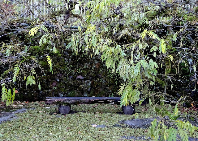 Elk Rock Garden at the Bishop’s Close; how I learned to love a PNW garden with no spikes