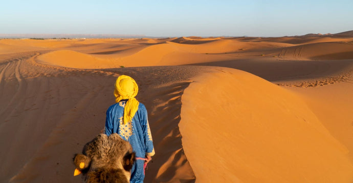 How to Plan a Perfect Morocco Travel Itinerary (3 Brilliant Options)