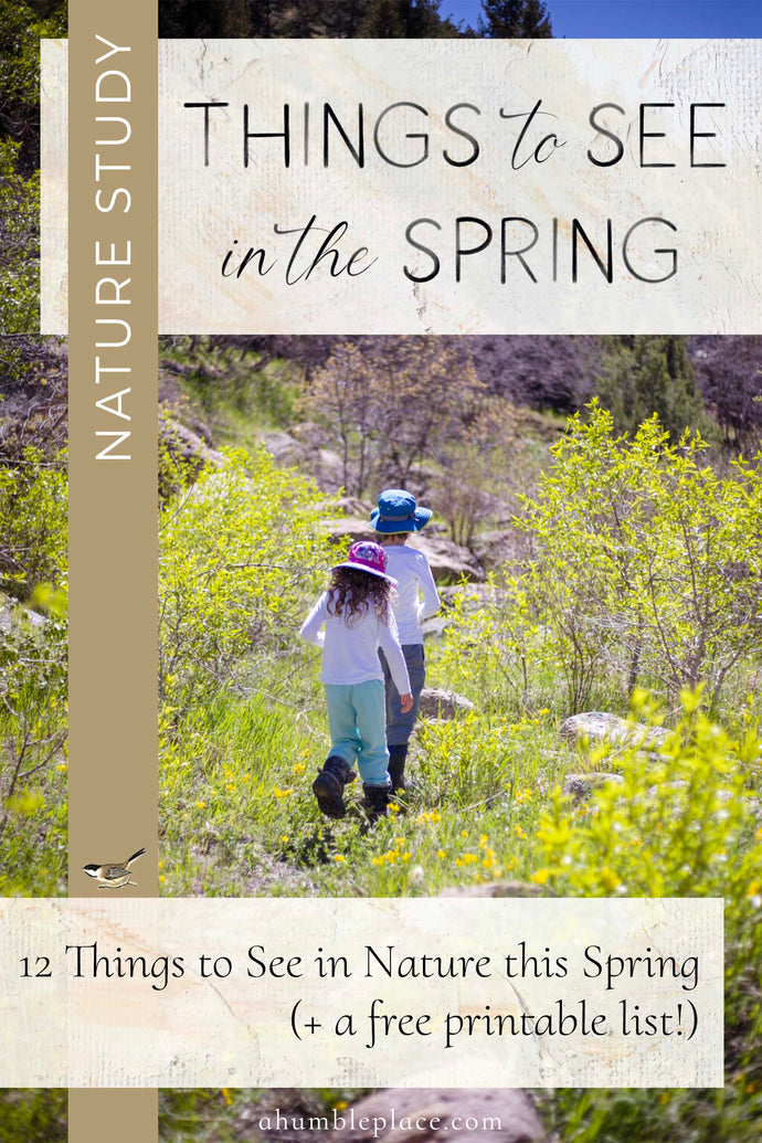 12 Things to See in Nature This Spring (+ a free download!)