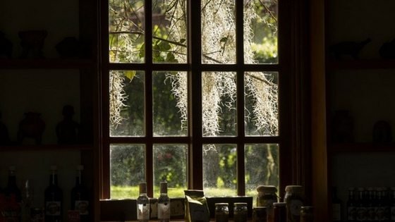 5 Reasons Vinyl Windows are a Great Choice