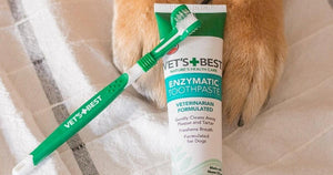 Vet’s Best Enzymatic Toothpaste & Brush Set Only 81¢ Shipped on Amazon + More Pet Deals