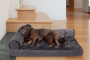 Dog Hate the Heat? Here Are the Best Cooling Beds to Keep Them Comfortable in 2022